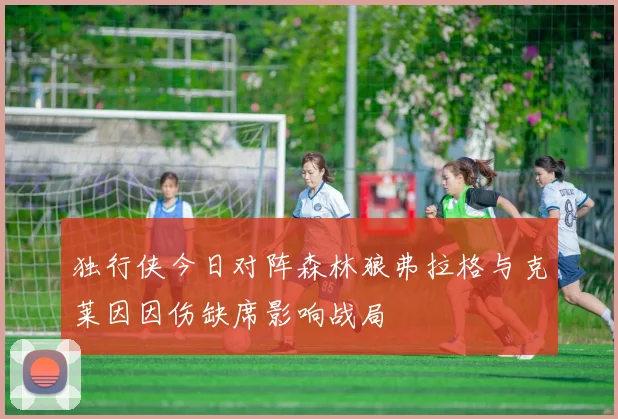 独行侠今日对阵森林狼弗拉格与克莱因因伤缺席影响战局